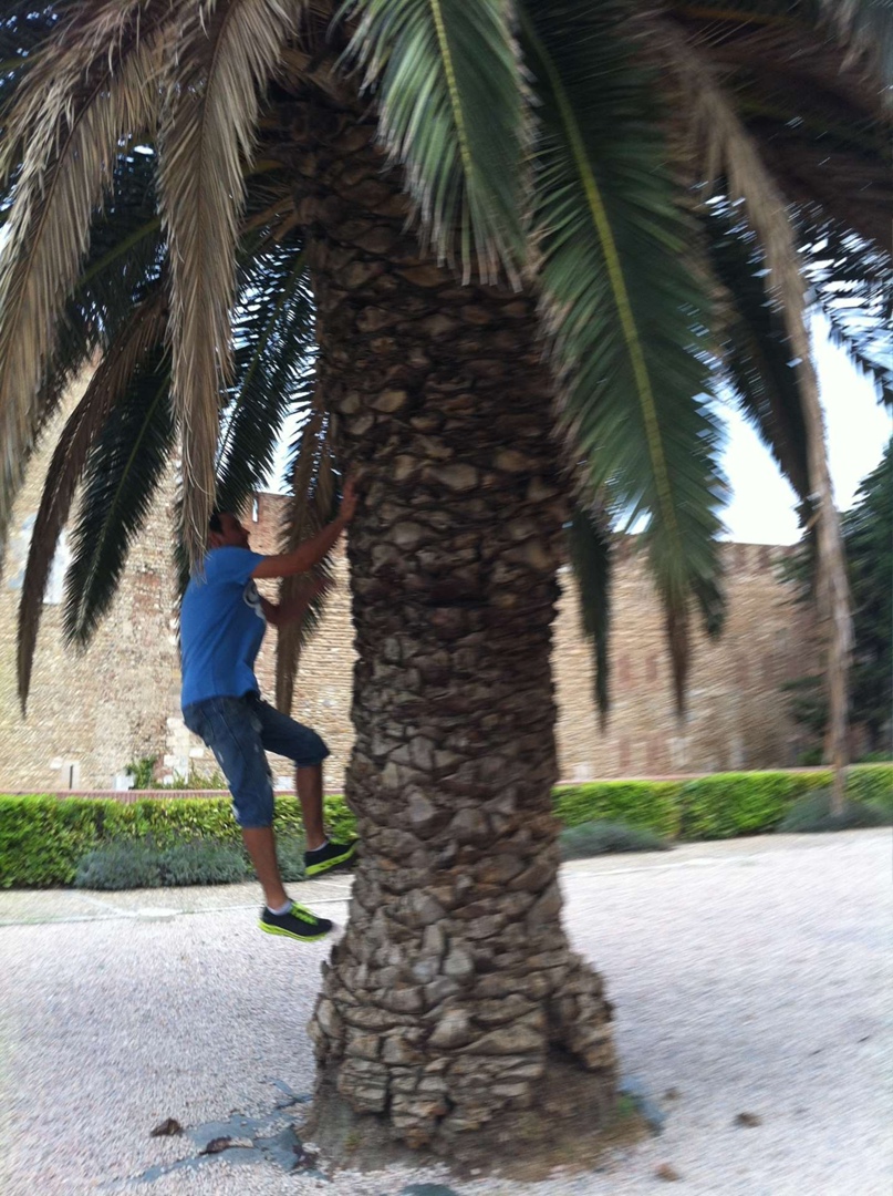 Александр Погодин | Санкт-Петербург