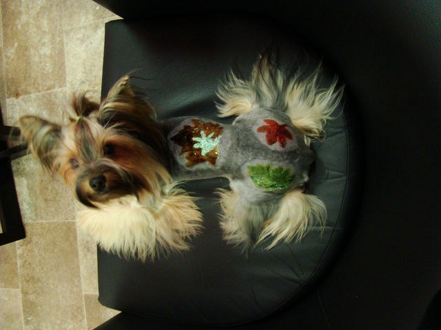 Юлия Кондрашова | Москва