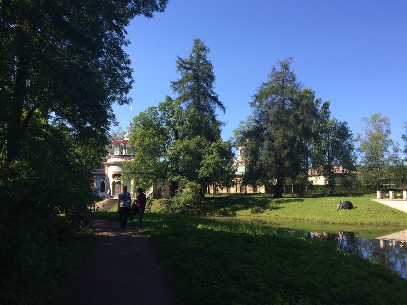 Наталия Яшина | Тольятти