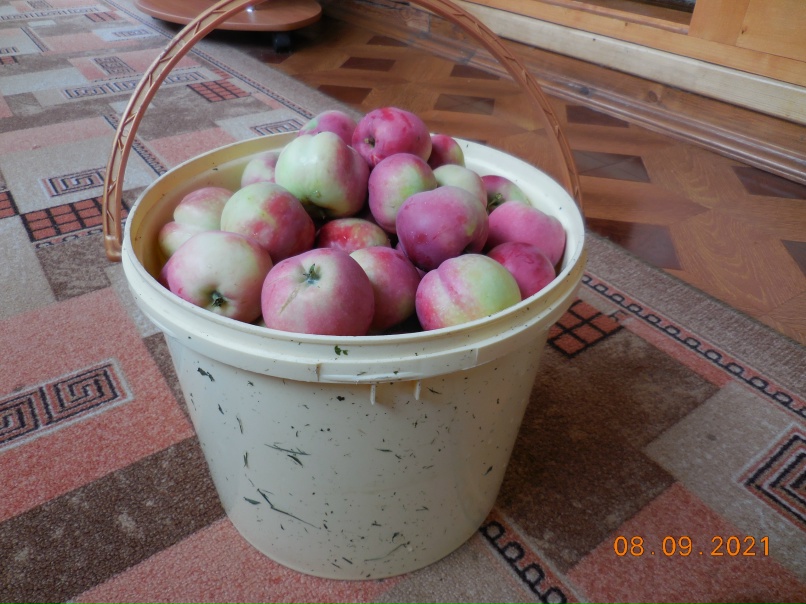 Людмила Румянцева | Волгоград