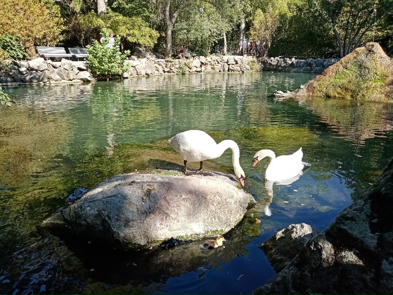 Александра Виноградова | Волгоград