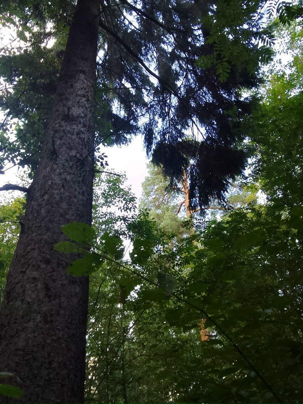 Ксения Симонова | Санкт-Петербург