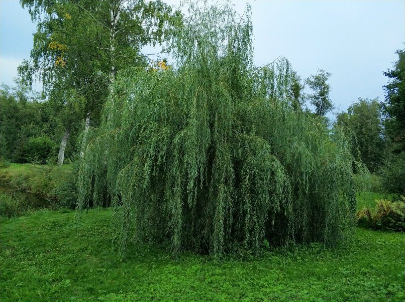 Elena Kozina | Санкт-Петербург