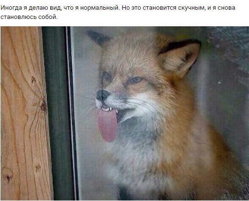 Антон Ивин | Рыбинск
