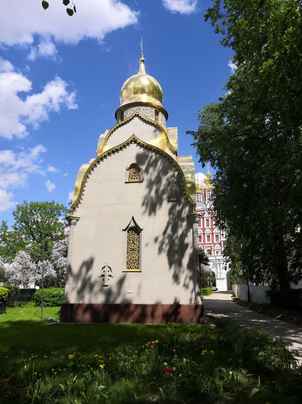 Светлана Протасова | Санкт-Петербург