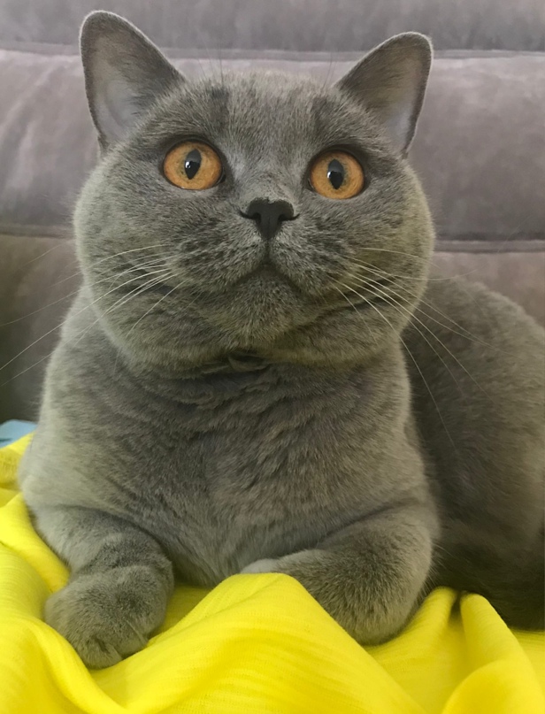 Светлана Прусакова | Москва