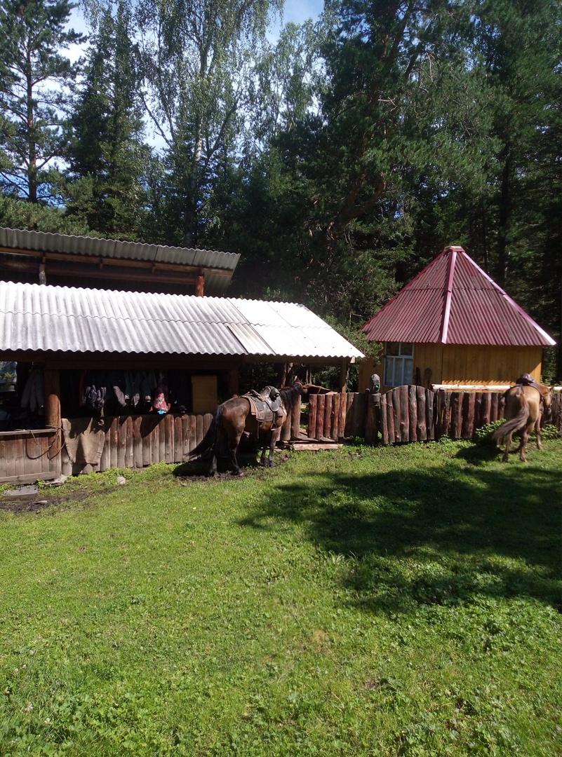 Наталья Порошина | Северск