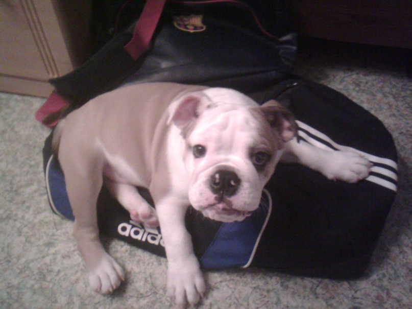 Ирина Неверова | Пермь