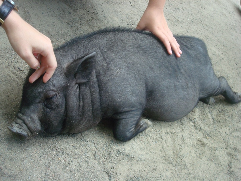 Валя Князева | Мурманск