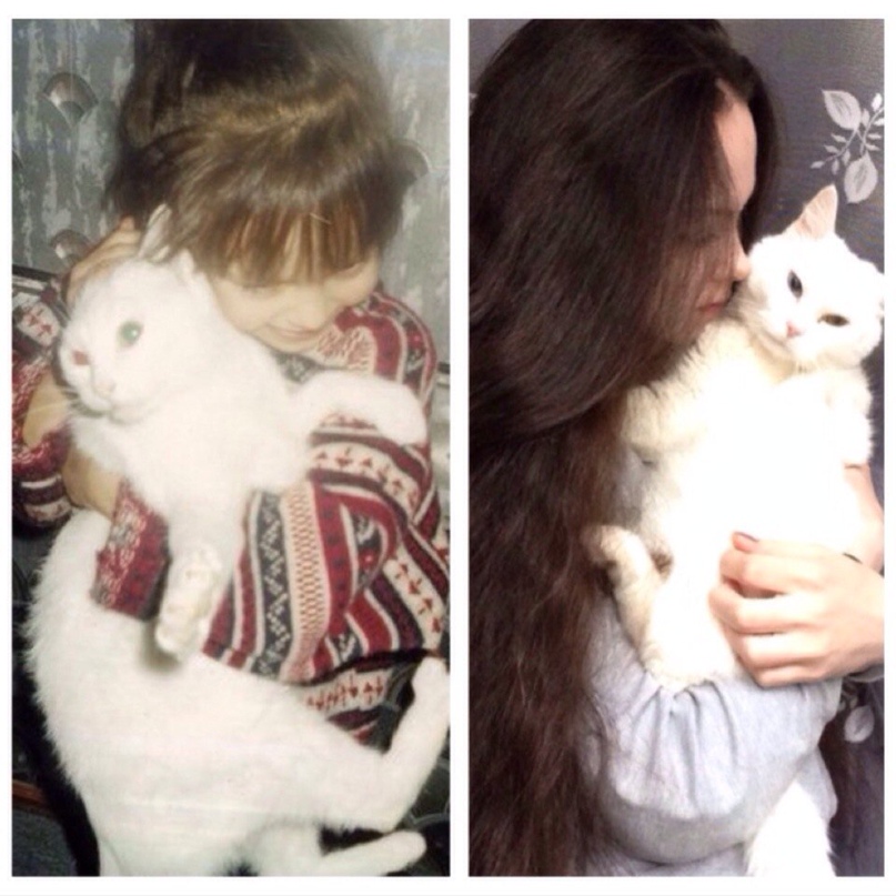 Вера Золотова | Москва