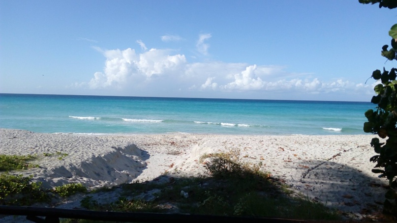 Александра Авчинникова | Москва