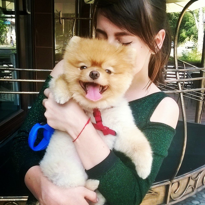 Ника Антоненко † | Запорожье