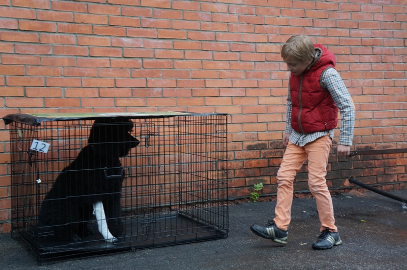 Михаил Калмыков | Москва