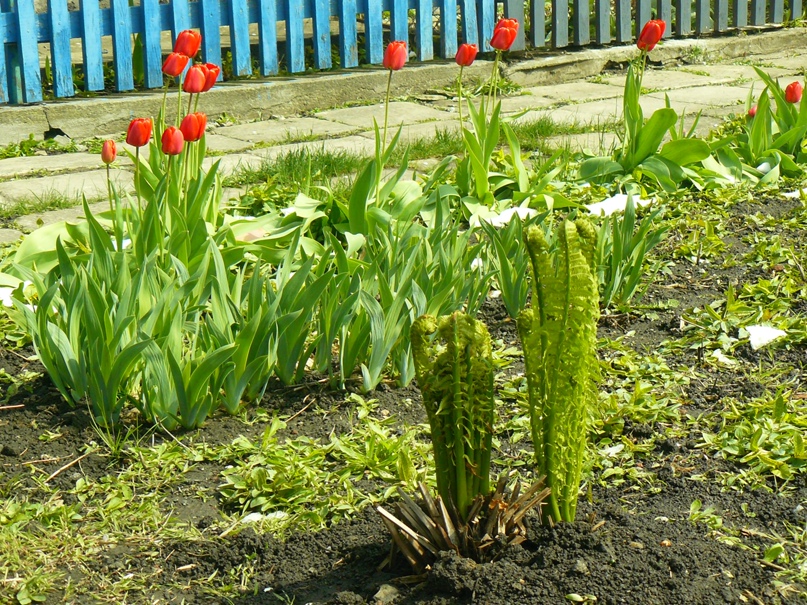 Дмитрий Омельченко | Знаменка