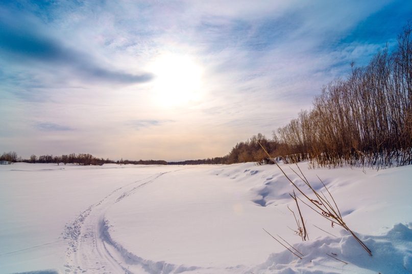 Алексей Меньщиков Chrom | Лангепас