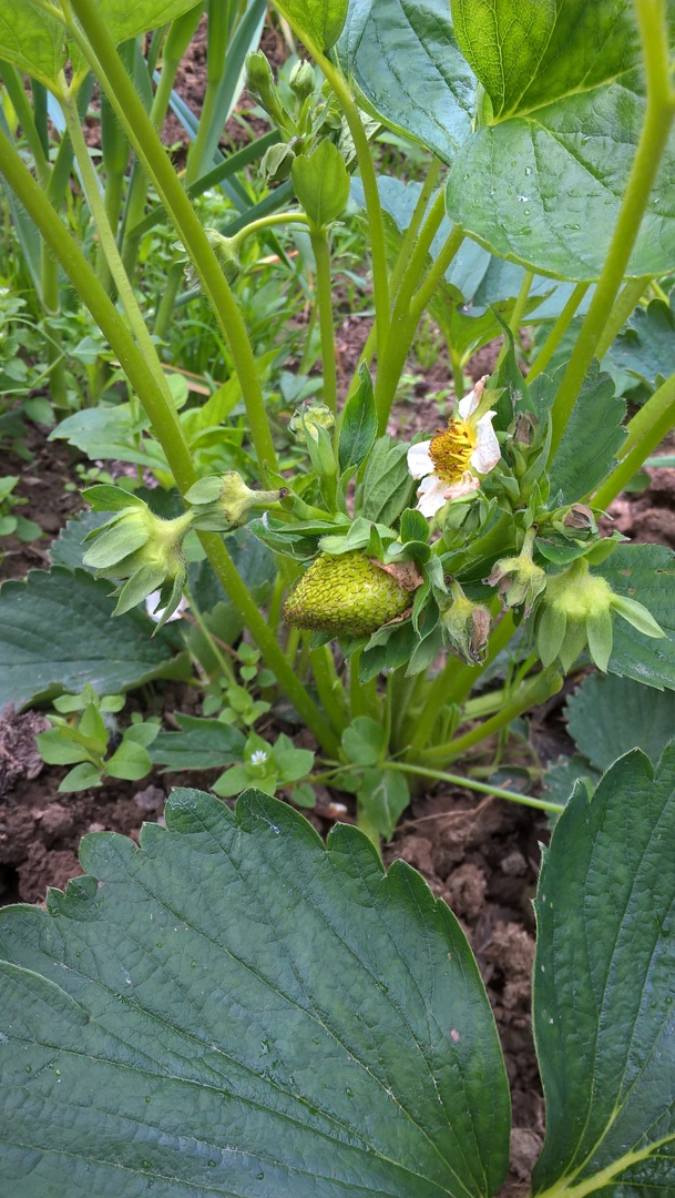 Ирина Кочеткова | Нижний Новгород