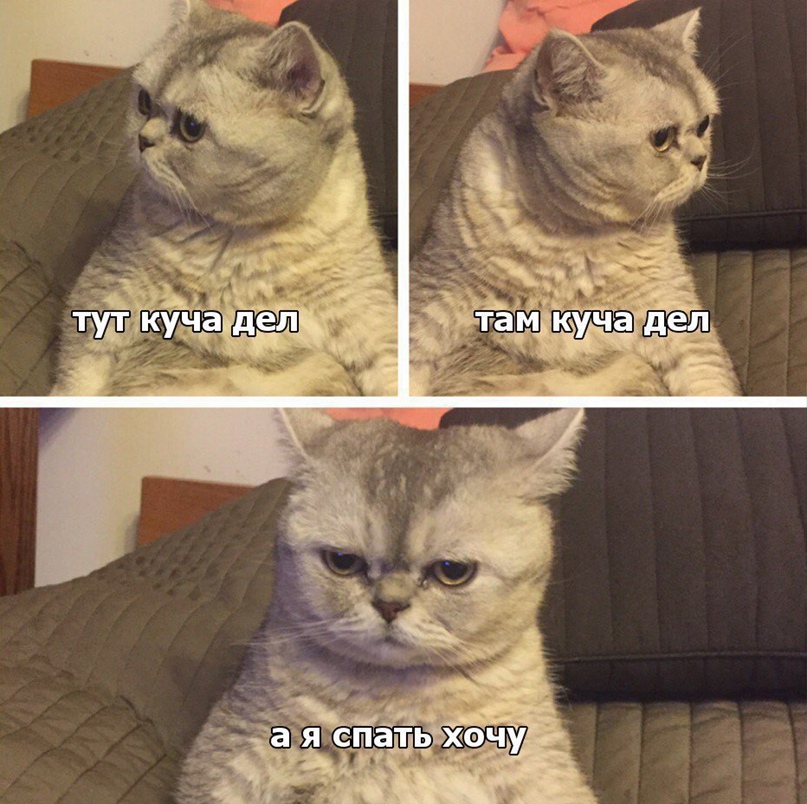 Юрий Лукашов | Оренбург