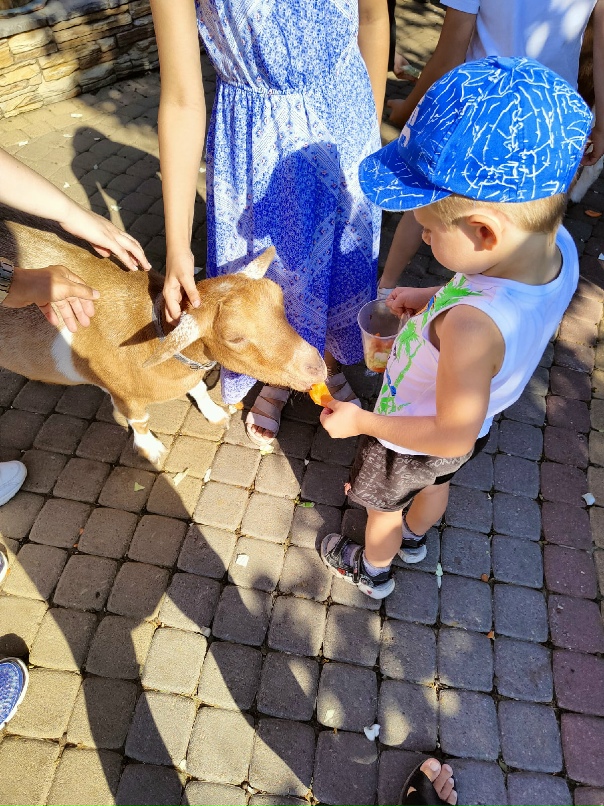 Марина Шорина | Самара