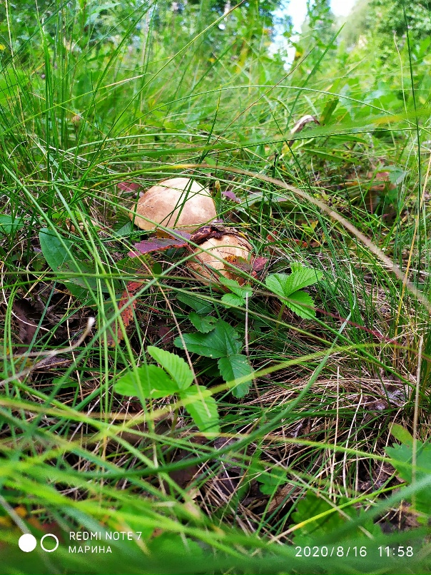 Марина Буравлева | Челябинск