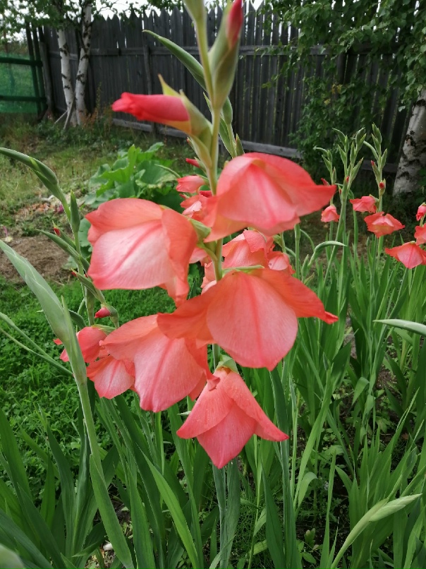 Людмила Ванина | Северодвинск