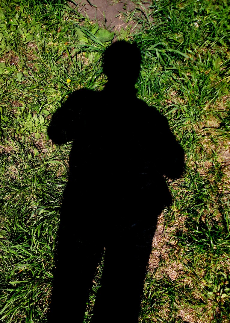 Алексей Швецов | Курск