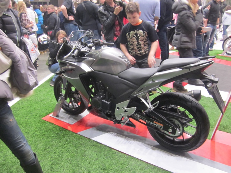 Антон Колядин «Волчья морда» | Славянск-на-Кубани