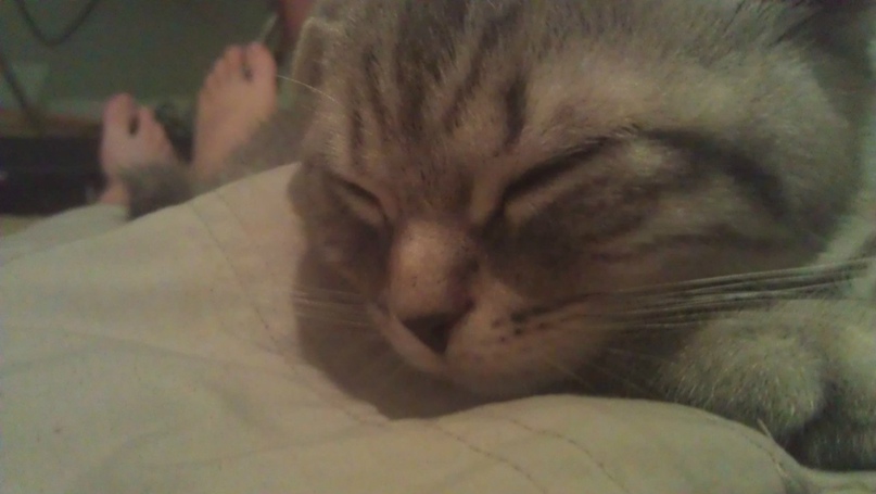 Антон Козлов