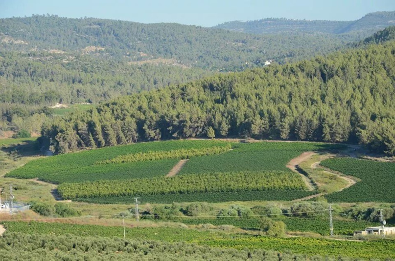 Александра Данилова | Holon