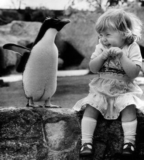 София Зализовская | Москва