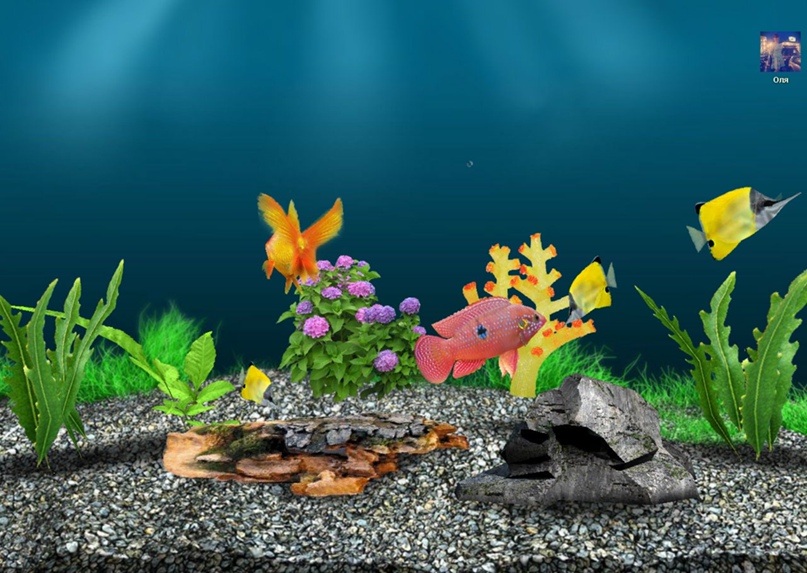 Екатерина Силиверстова | Санкт-Петербург