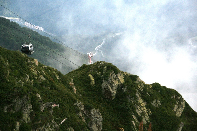 Елена Кочева *Большой Тигр* | Тольятти