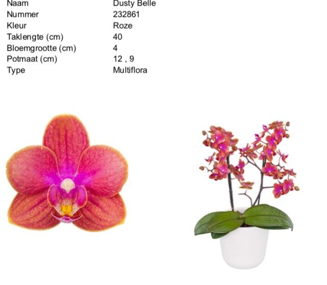 Мария Середина | Дзержинск