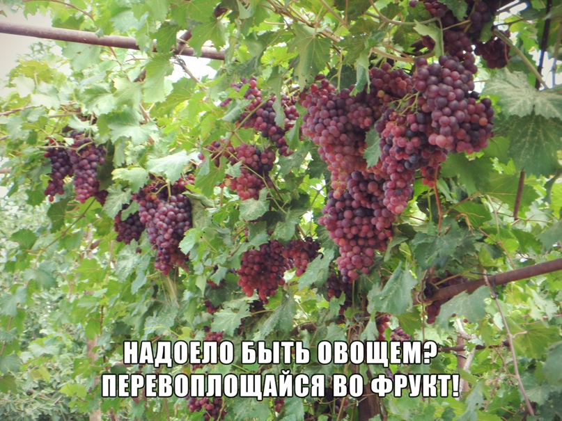 Юлия Локтева | Астрахань