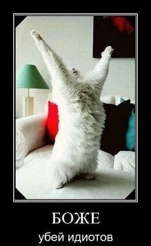 Юлия Макарова | Йошкар-Ола