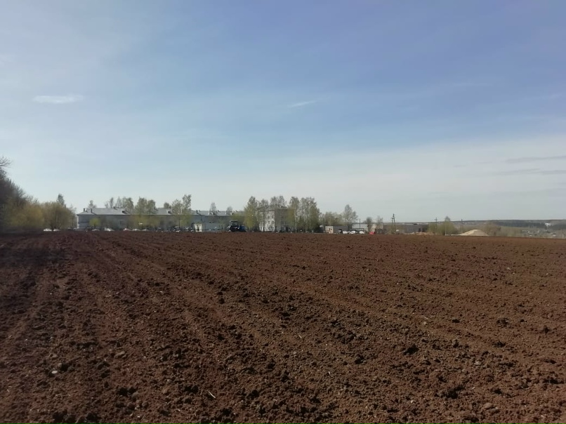 Елена Дягилева | Киров