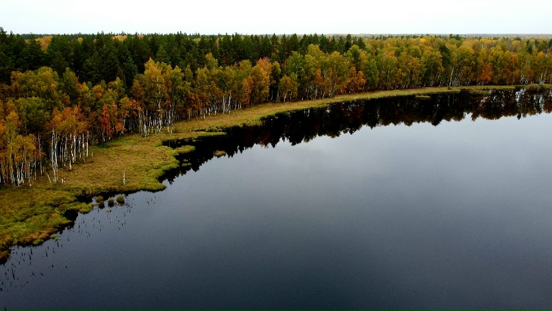 Александр Баулин |