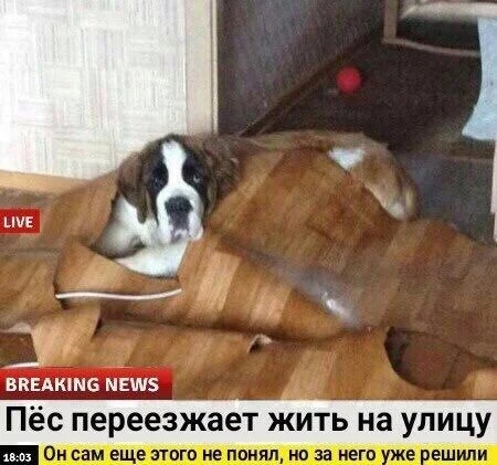 Максим Жилин |