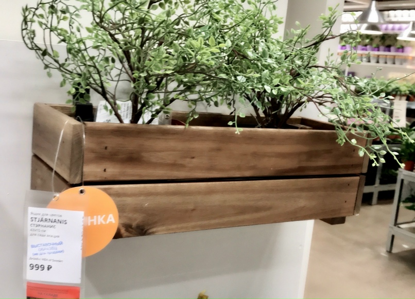 Ирина Гутник | Кингисепп