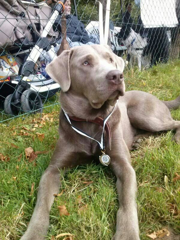 Наталия Демидова | Dortmund