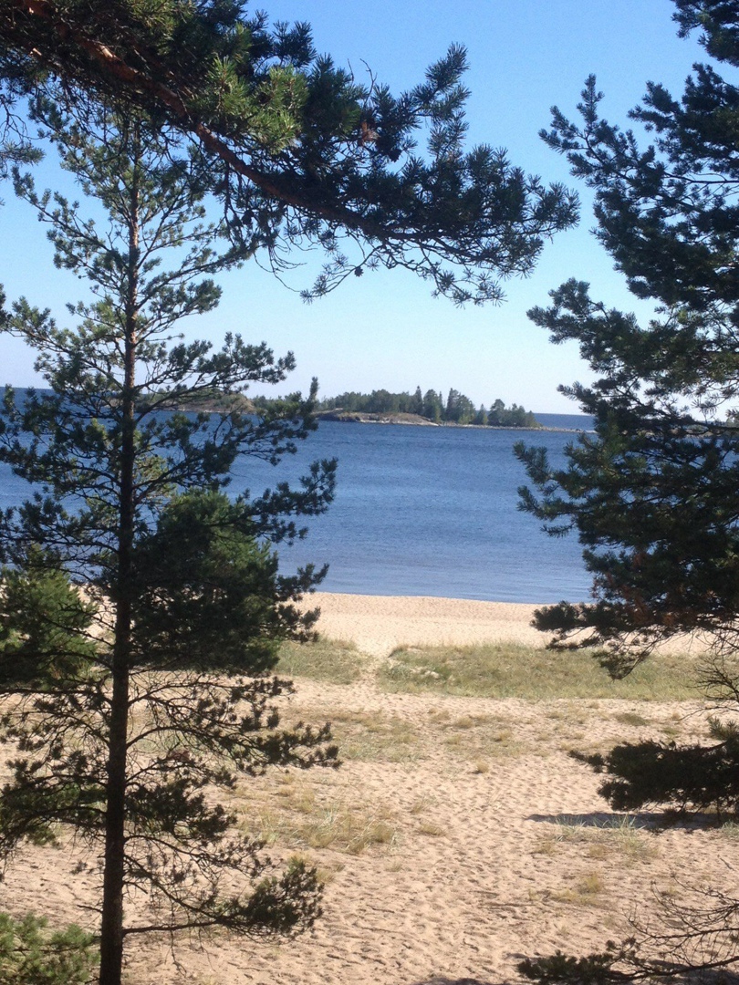 Татьяна Шелухина | Санкт-Петербург