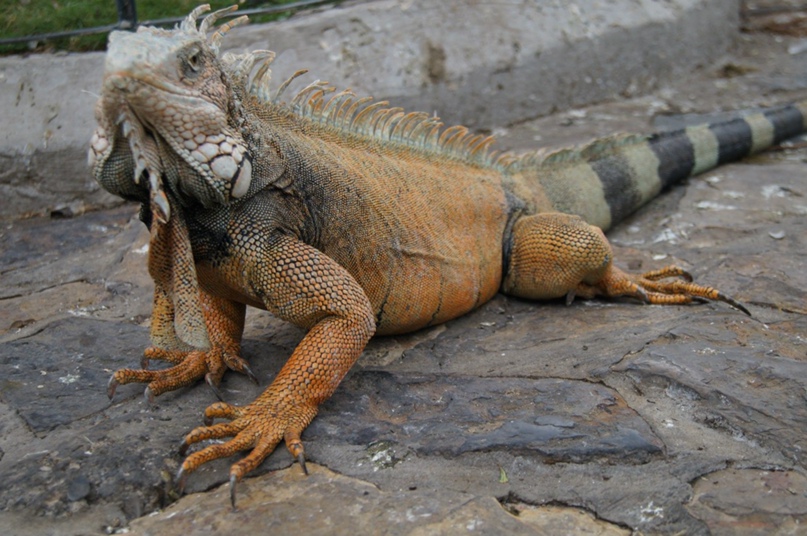 Екатерина Глазкова | Москва