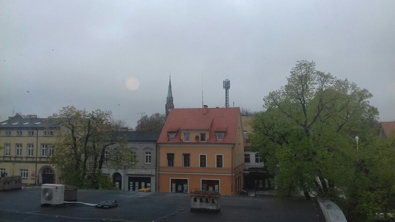 Алёна Шутько | Чернигов