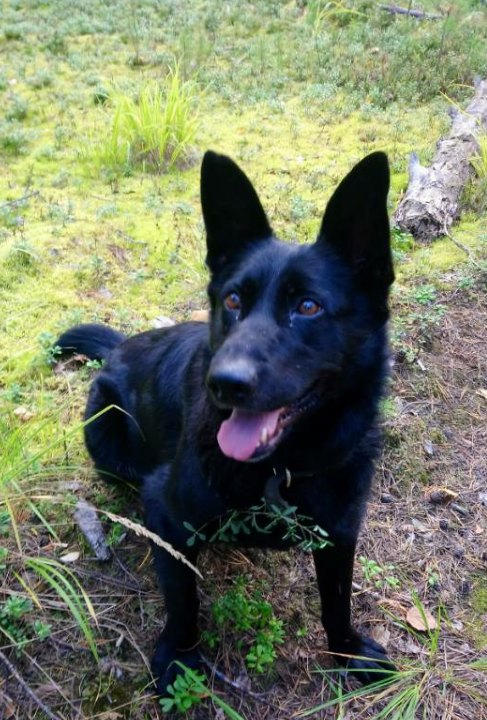 Марина Фурсова | Пермь