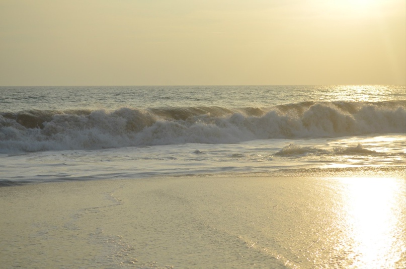 Алексей Антипенко | Киев