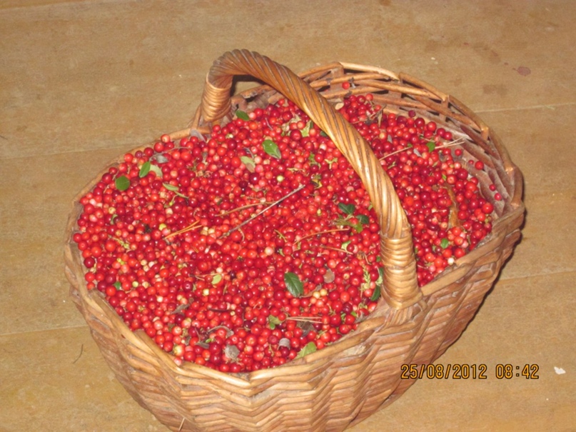 Марина Белоусова | Москва