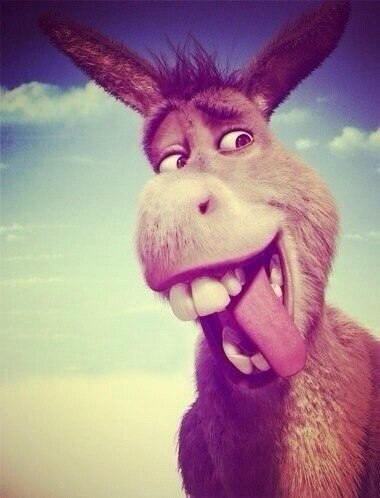 Юлия Сильвестрова | Одесса