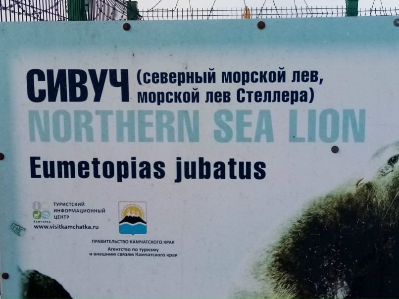 Александр Шиуков | Санкт-Петербург