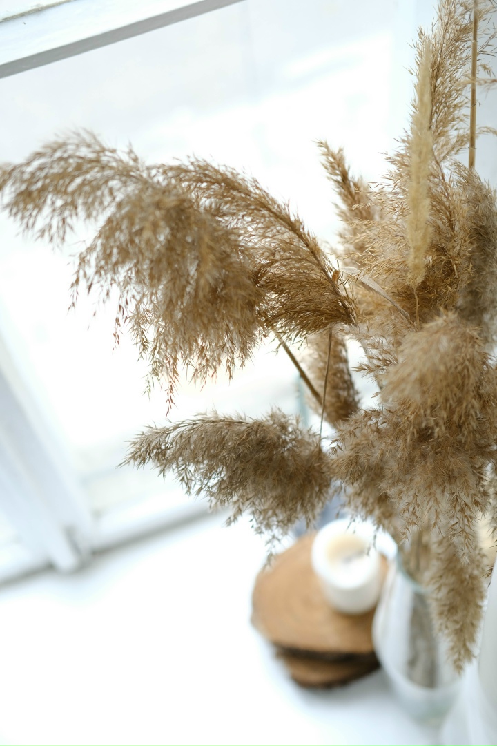 Ирина Старкова | Феодосия