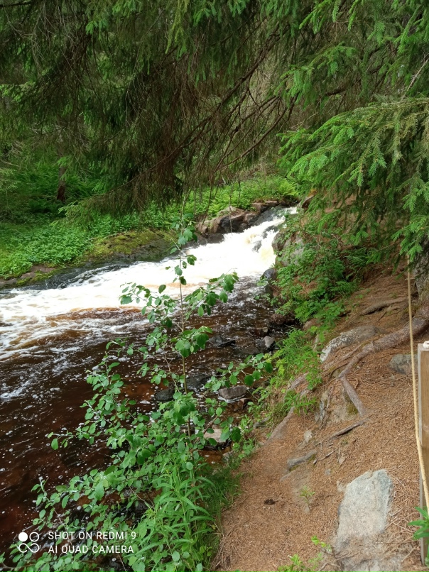 Лана Дмитриева | Санкт-Петербург