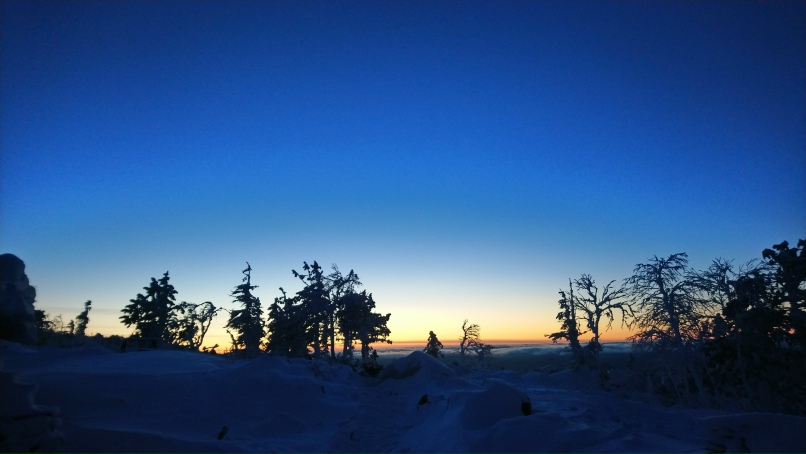 Анатолий Николаев | Первоуральск